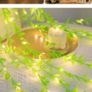 🍀Leaf String Light🍀 ☘️🍀 আপনার ঘর, জানালা, দেয়াল বা বারান্দাকে মনের মতো করে সাজান এই দারুণ পাতা 32 Feet