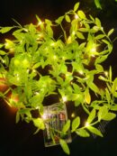 Led Leaf Light 16 Feet