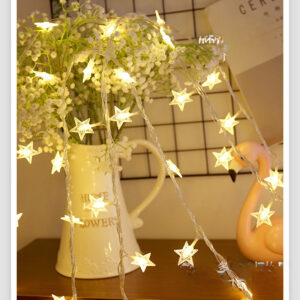 Snow Star Fairy light