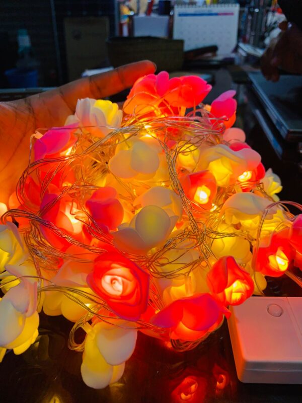 Rose Light 80 Lead - Image 2