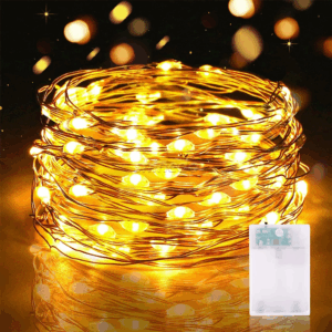 Battery String Light